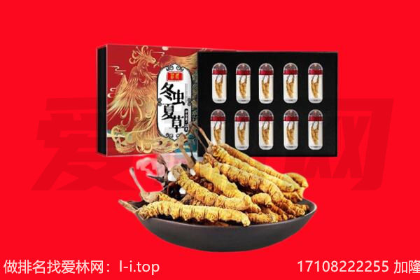 庆阳市回收虫草.jpg
